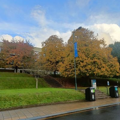 Aadi3010's profile picture. 