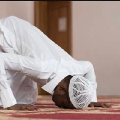 PsyopDecimator's profile picture. 