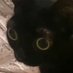 3AM Cryptid (@archaic_script) Twitter profile photo 3AM Cryptid (@archaic_script) Twitter profile photo