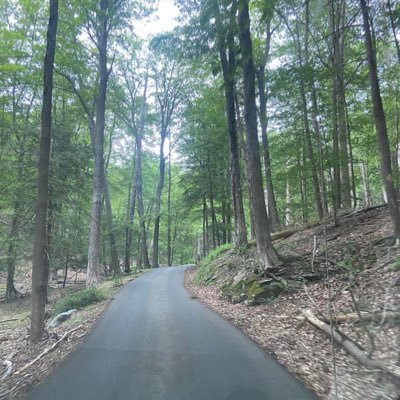 JewishLivesMatr's profile picture. 