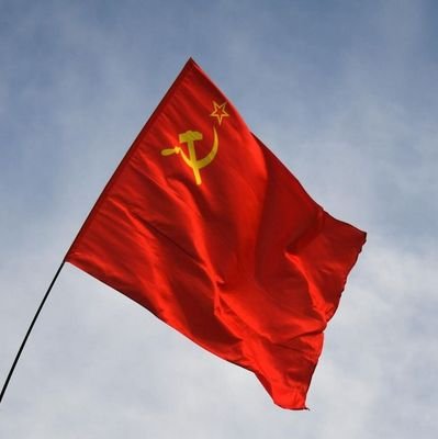 RyanSalvochea's profile picture. ...l'ignorance, l'oubli ou le mépris des droits de l'Homme sont les seules causes des malheurs publics et de la corruption des Gouvernements,... 1789