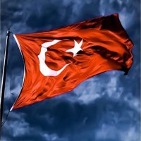 Dr. M.Attila Sevim (@muhammedsevim) Twitter profile photo