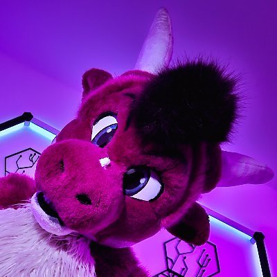 French pink dragon / 28 / Fursuiter / Small streamer / Bartender 🍹
VTuber account 🇫🇷 : @KawakuVT