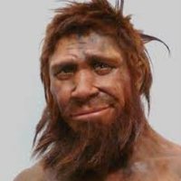 Homosapien Idiot (@homosapienidiot) 's Twitter Profile