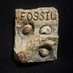 東京化石クラブ(東京の化石と砂金収集) (@tokyofossilclub) Twitter profile photo 東京化石クラブ(東京の化石と砂金収集) (@tokyofossilclub) Twitter profile photo