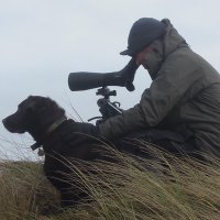 Colin Bushell 🇪🇺🪶📻⚽️🚲(@easingtonbirds) 's Twitter Profile Photo