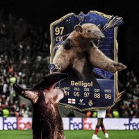 Adrimarcbdn (@adrimarcbdn) 's Twitter Profile
