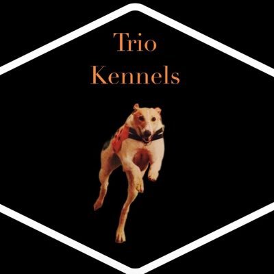 Trio Kennels