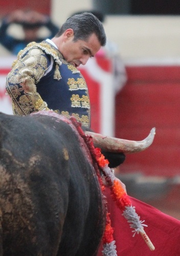 Resultado de imagen para hernan ondarza torero