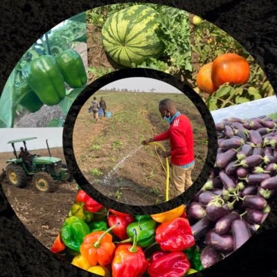 Entreprise Agricole spécialisée sur la production, la transformation et la distribution des produits agro-alimentaires.