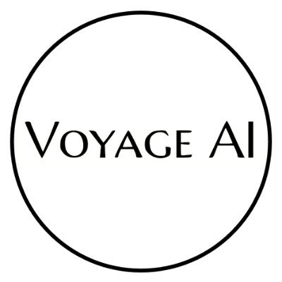 Voyage_AI_ Profile Picture