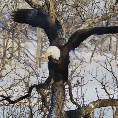 kzzzls's profile picture. Jesus is Lord! Wife to USAF retired, mother & grandmother. Sorry no DMs.