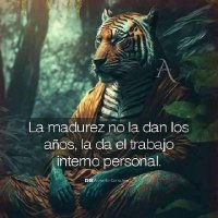 Pato 🇨🇴🤍 (@angelsofia08) 's Twitter Profile Photo Pato 🇨🇴🤍 (@angelsofia08) 's Twitter Profile Photo