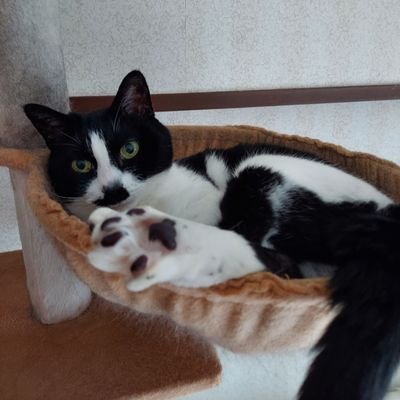 kazumimimaman's profile picture. ファン歴28年のGLAYER
動物好き
無言フォローごめんなさい🙏