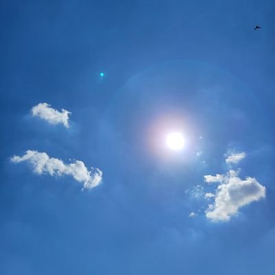 Revoさん（Sound Horizon、Linked Horizon）キティさん、猫、アニメ、漫画