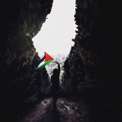 HadyAlshaheed's profile picture. 🤖