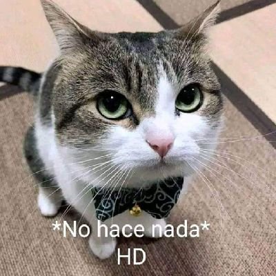 Jelcorirc7's profile picture. No sé que poner