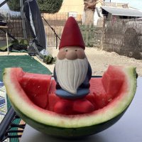 Gnome(@sailaway999) 's Twitter Profile Photo