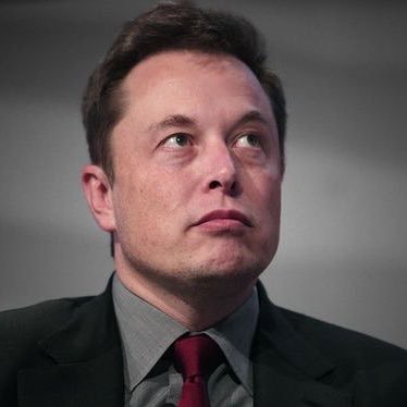 founder, chairman CEO and chief technology officer of Space X; angel investor, CEO, product architect and former chairman of Tesla, Inc.owner