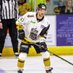 EIHL SitRep (@eihlrep) Twitter profile photo