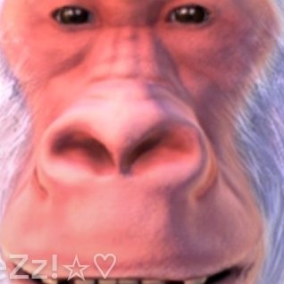 Monkey35336 Profile Picture