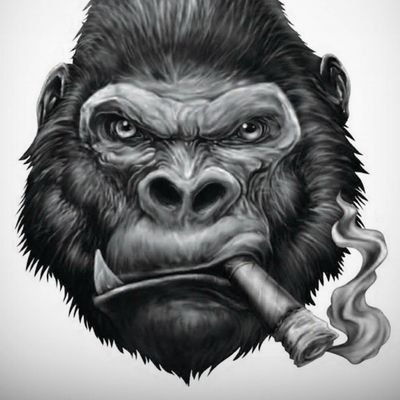 Vf34170's profile picture. 