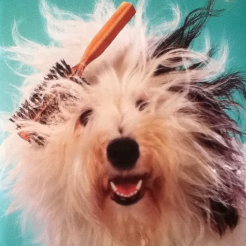 BOWWOWSPA's profile picture. 