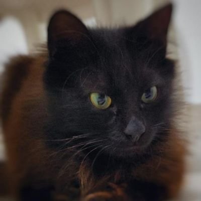 vitosalerno's profile picture. Vivo a Marina di Ragusa. Direttore di filiale di una piccola BCC e... tanta Juventus (quello che scrivo sono opinioni personali)