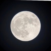وجدان محمد (@w___n0) 's Twitter Profile