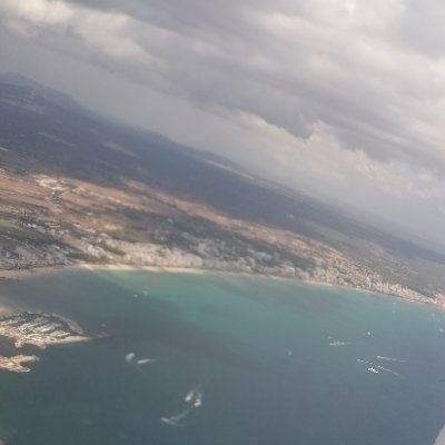 PeaceBlueplanet's profile picture. Le monde se divise en deux catégories : ceux qui ont un pistolet chargé, et ceux qui creusent. Toi, tu creuses