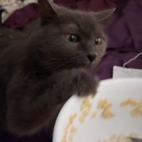 charlie (parody) (@c_soeder) 's Twitter Profile