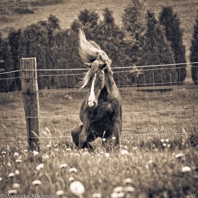 Taouil92 Profile Picture