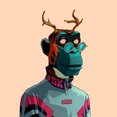 xinpei888's profile picture. 