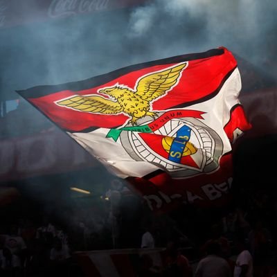 Adnaguia1904's profile picture. 