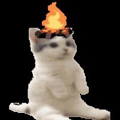 Currently looking for: Scriptwriter, Long-Form Video Editor, Thumbnail Designer
DM me!