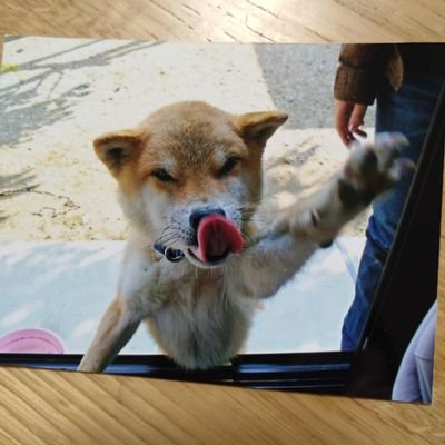 kyoko65101524's profile picture. Gist（消化器管間質性腫瘍）闘病中の2児のママ。緩和ケアに移行。現在は在宅診療を受けて緩和をしながら暮らしています。残された人生どう生きるか…。穏やかに家族に囲まれて過ごせたらいいな。