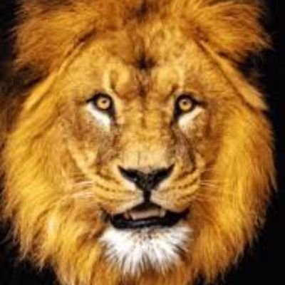 Lic. Ciencias Fiscales. Finanzas Públicas
CARAQUISTA A MORIR