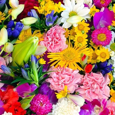 DptVHnunMr8VV0p's profile picture. GRe4Nboyz（箱推し）
と愛車🚗６０系ハリアーが大好きです。格好いい車が好きです。💚✨後、☕珈琲も💖