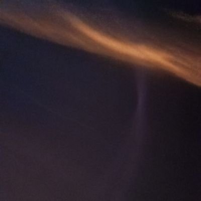 ASAMCA01's profile picture. 