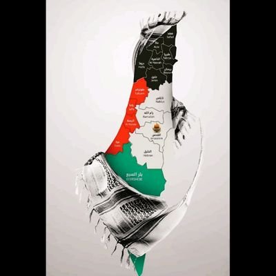 Dr_Mohamed_3rfa's profile picture. Clinical Nutrition Specialist 🍎 |

Clinical Nutrition Master, SCU |

Pharmacist 💊 |

Ahlawy 🦅