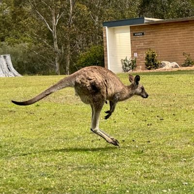 ZCDDC23's profile picture. 