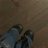 Bowies_Star's profile image