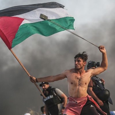 Pro palestinian