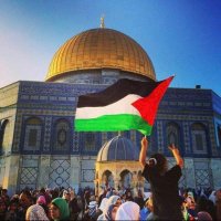 ahmed (@ahmed72naqvi) 's Twitter Profile