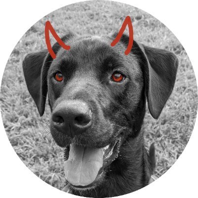 PR firm focused on promoting and supporting underground artists in the rock and metal scenes.
Writer @ Stoner HiVe
Contributor @ Doom Charts
Dog dad