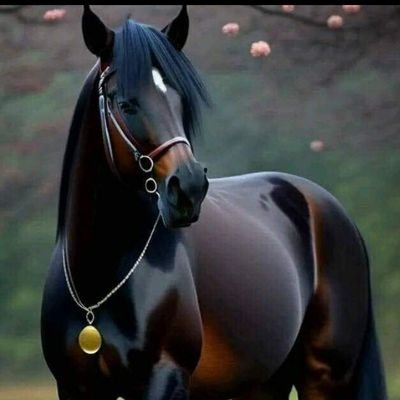 FrontNew18355's profile picture. 