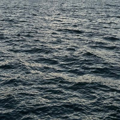 oceangoodtime's profile picture. 