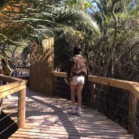 Erika (@juli11eta) 's Twitter Profile