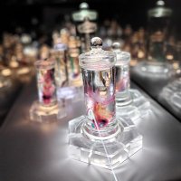 ねぎとにんにく/•᷅•᷄\୭ (@satosugarjh) 's Twitter Profile