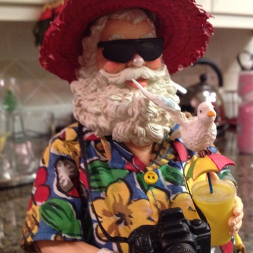 kcamozzi's profile picture. 